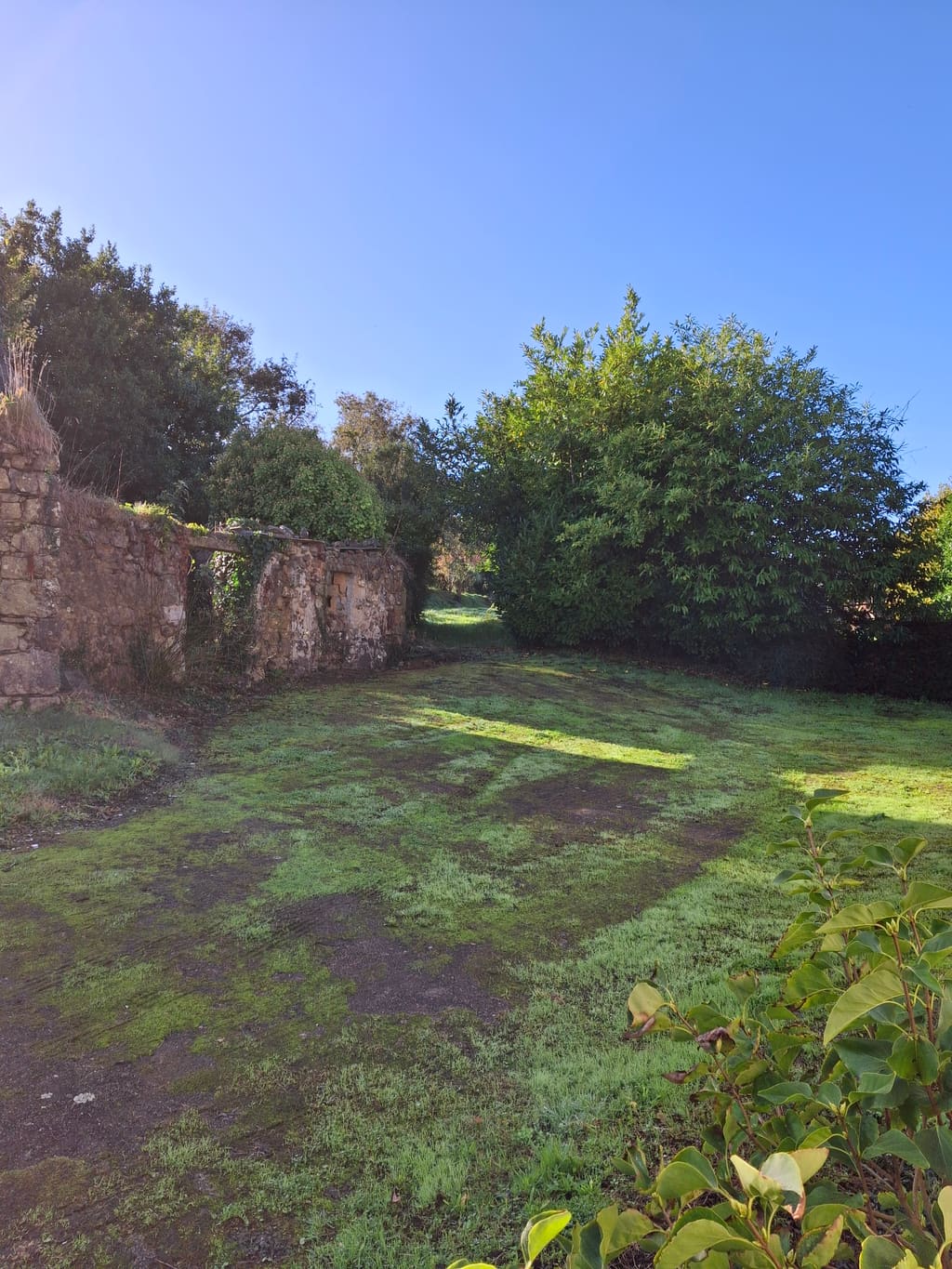 Terrain Constructible · Plougastel-Daoulas