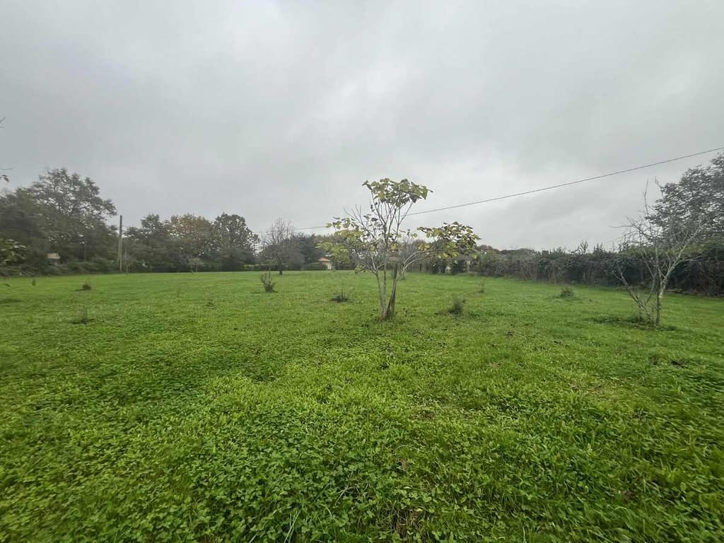Terrain · 1700 m² · Cenac