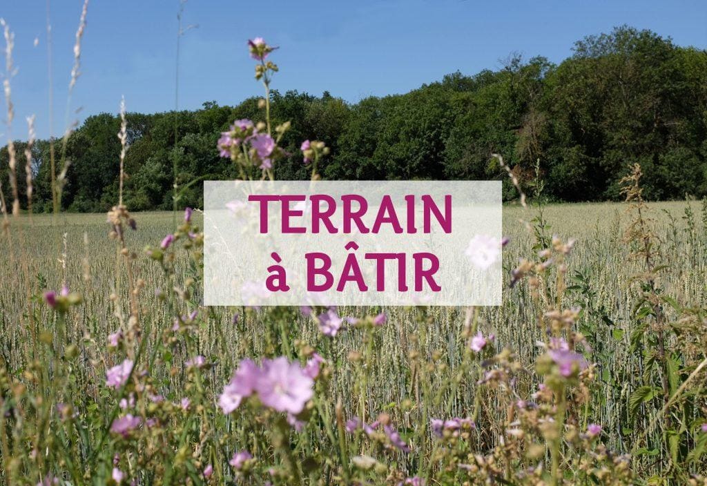 Terrain · Pont-Saint-Martin
