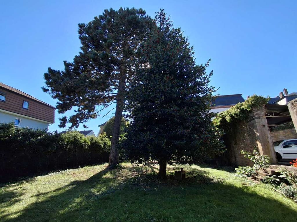 T5 · 117 m² · Bouxwiller